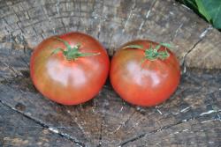 Christmas Purple Grapes