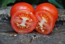 Alicante tomato