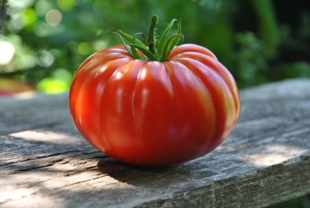 Gigantomo
