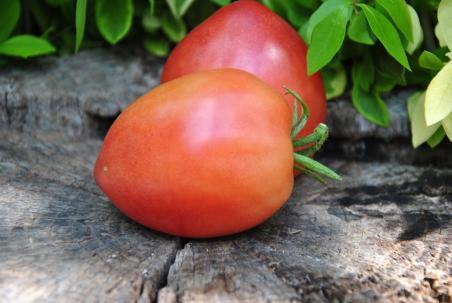 153/22 Japońskie serce