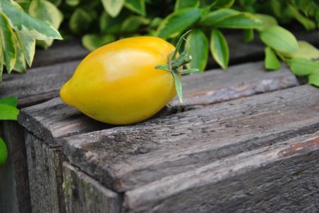 169/22 Marina's praise