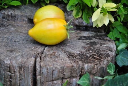 169/22 Marina's praise