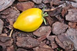 169/22 Marina's praise