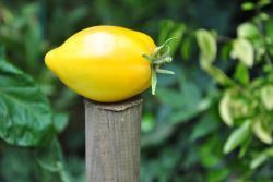 169/22 Marina's praise