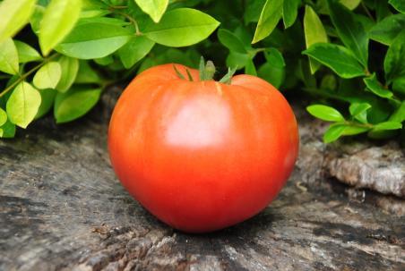 191/22 Gród indyjski