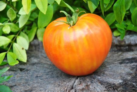 214/22 Pinneaple heart