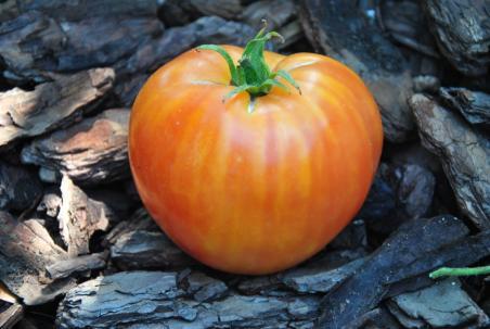 214/22 Pinneaple heart