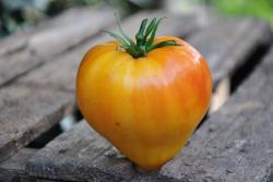 214/22 Pinneaple heart