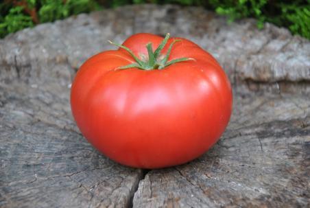 243/22 Hamilton heart