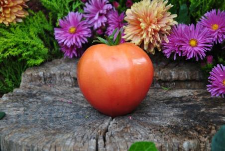 247/22 Japonka serce