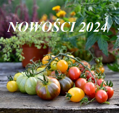  NOWOŚCI 2024 